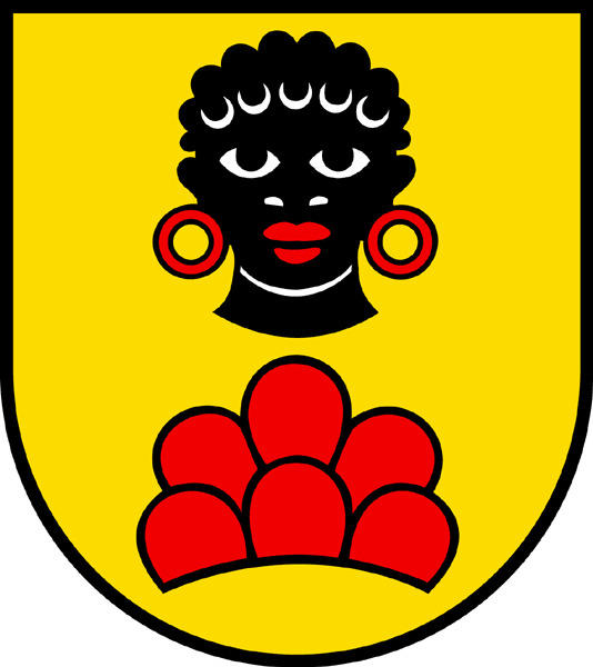 Alarmanlagen Aarau